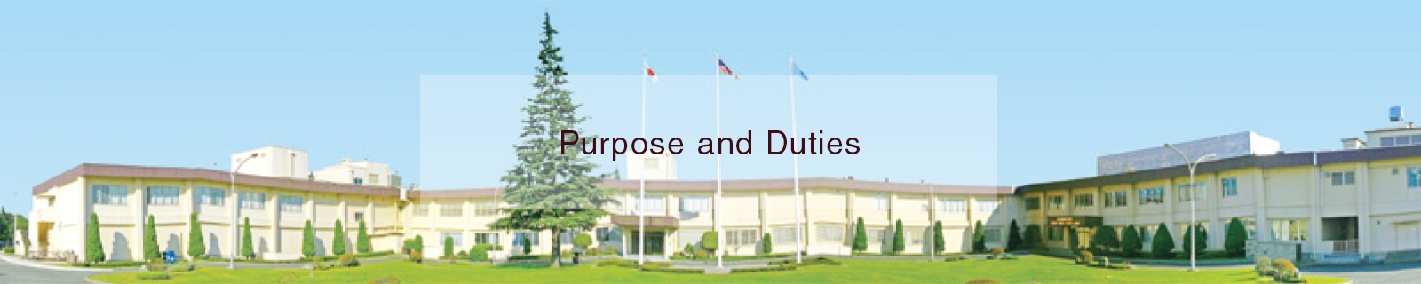 Purpose and Duties